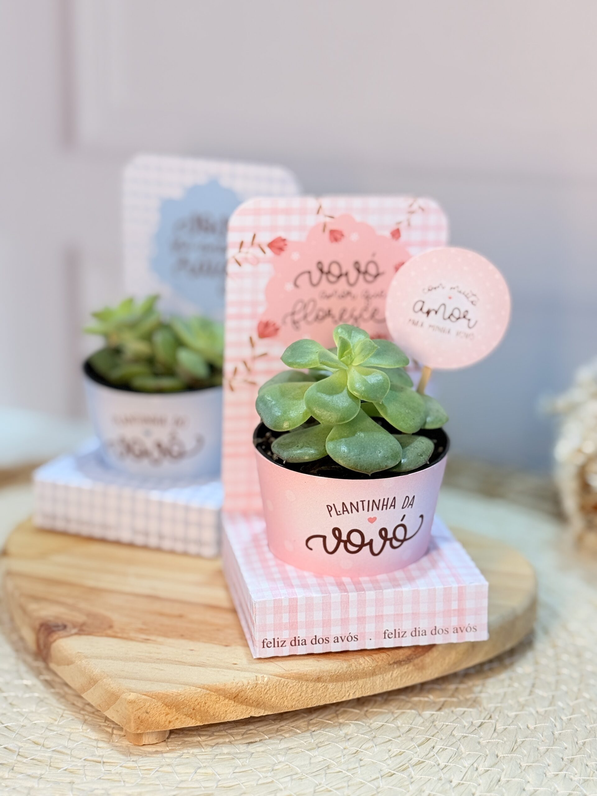 Coletiva Dia dos Avós (Vê Moraes) - Imagem 3