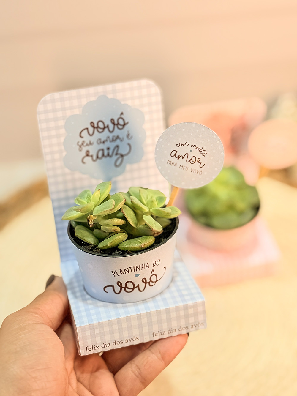 Coletiva Dia dos Avós (Vê Moraes) - Imagem 15