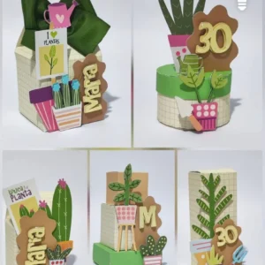Plantas – Kit Festa Pronta