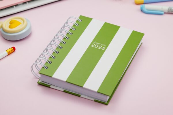 Combo Agendas Fofas 2026 - Imagem 28