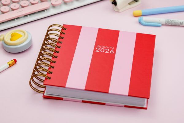 Combo Agendas Fofas 2026 - Imagem 31