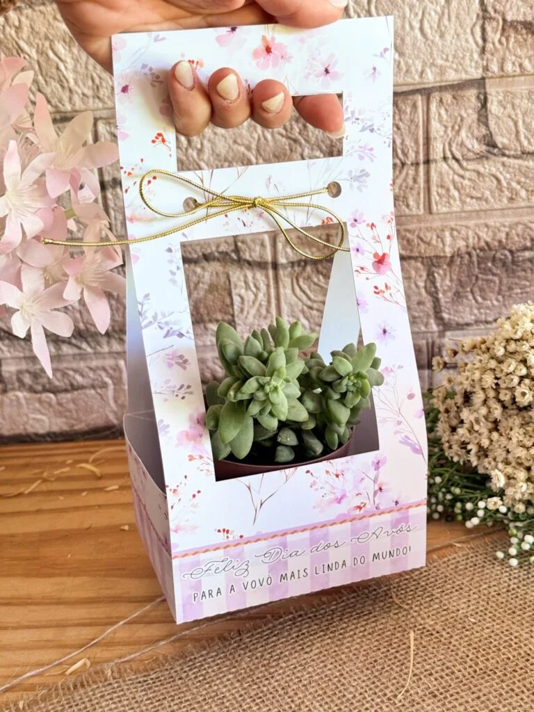 Dia dos Avós 2025 (Ilustracin) - Imagem 12