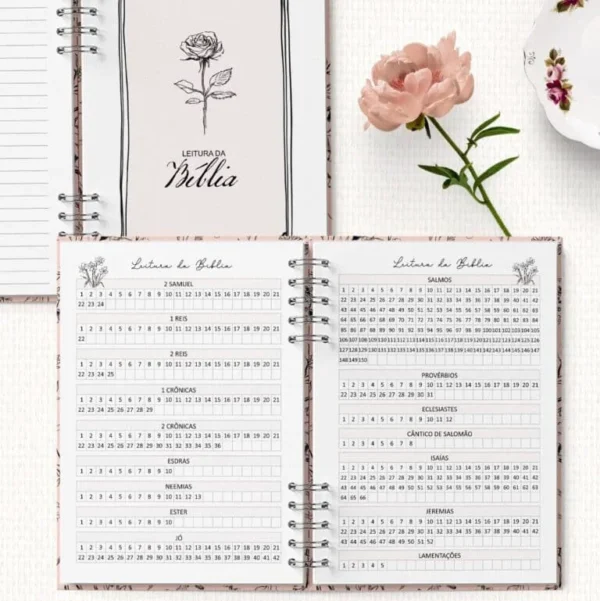 Planner da Pioneira SET2025 a AGO2026 e Planner 2026 Completo (Bicho Papel) - Imagem 5