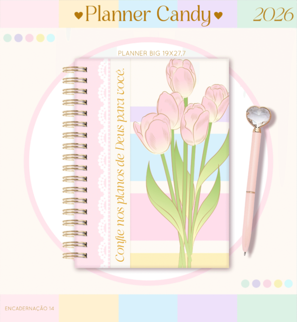 Planner Big 2026 (Lina) - Imagem 9