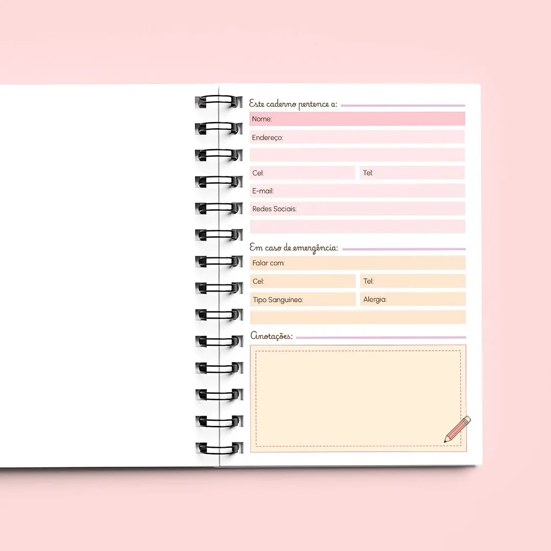 Arquivo Kit Caderno Professores - Telma Contel - Imagem 2