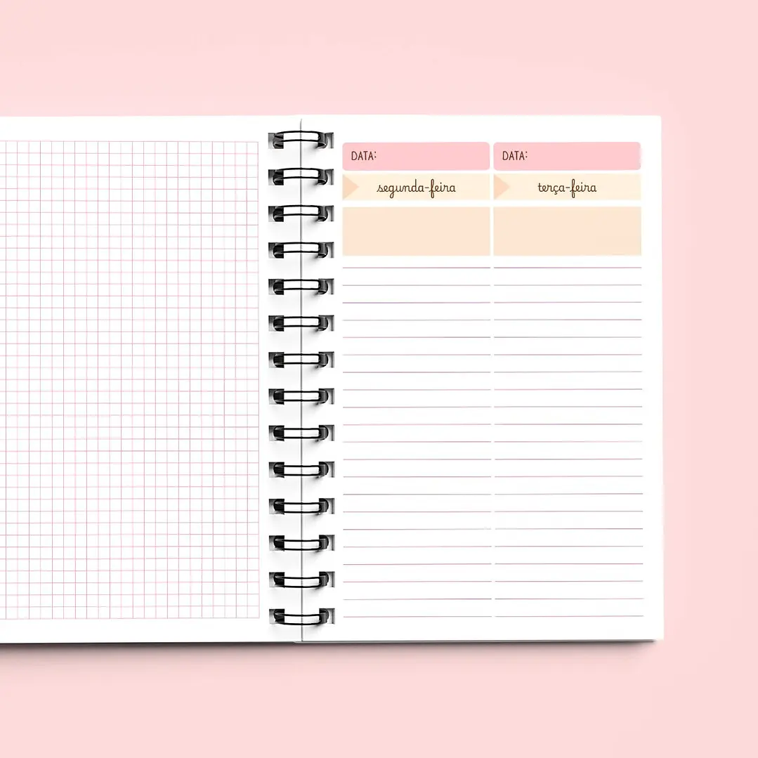 Arquivo Kit Caderno Professores - Telma Contel - Imagem 8