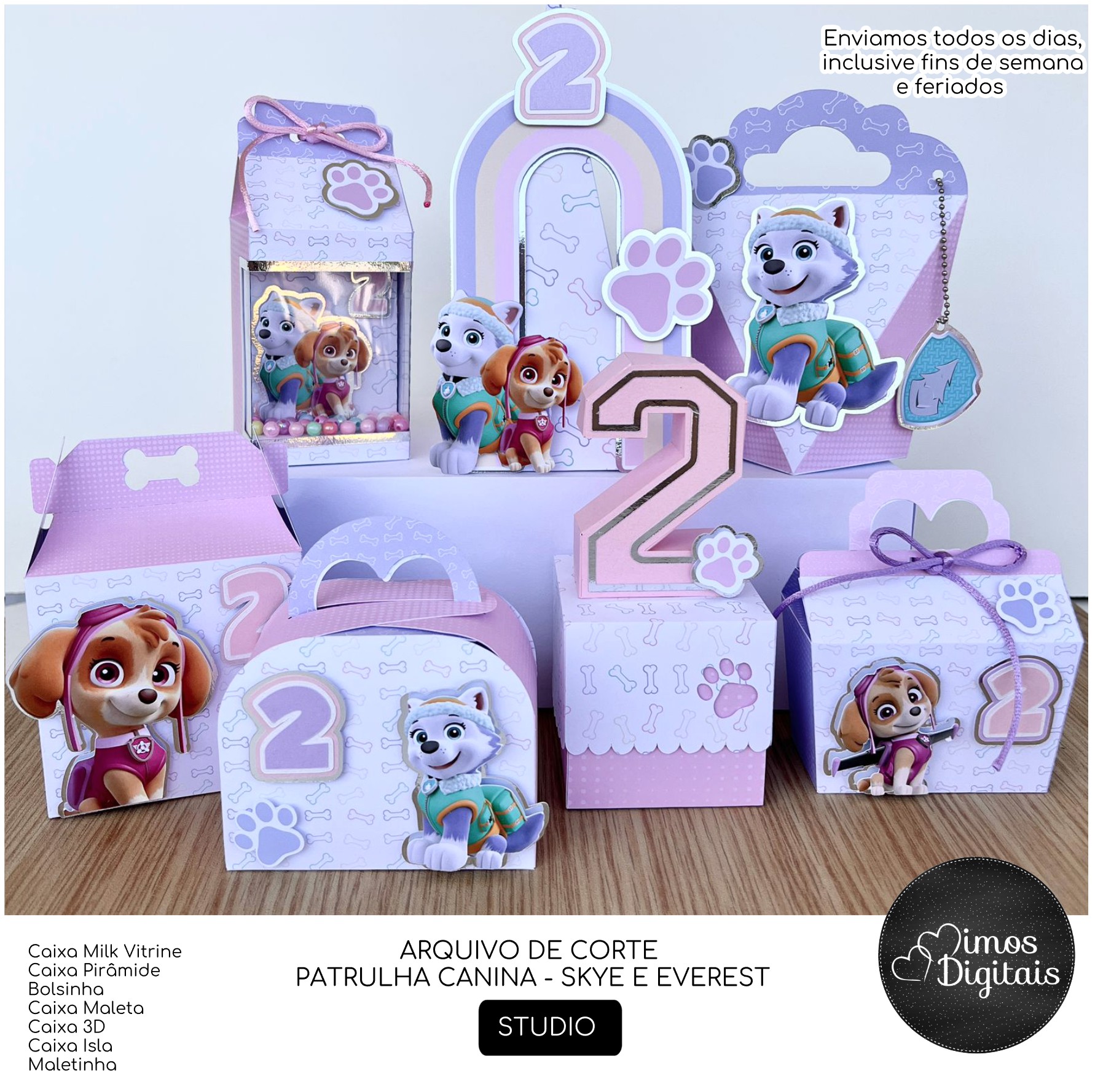 PATRULHA CANINA - SKYE E EVEREST - kit festa pronta