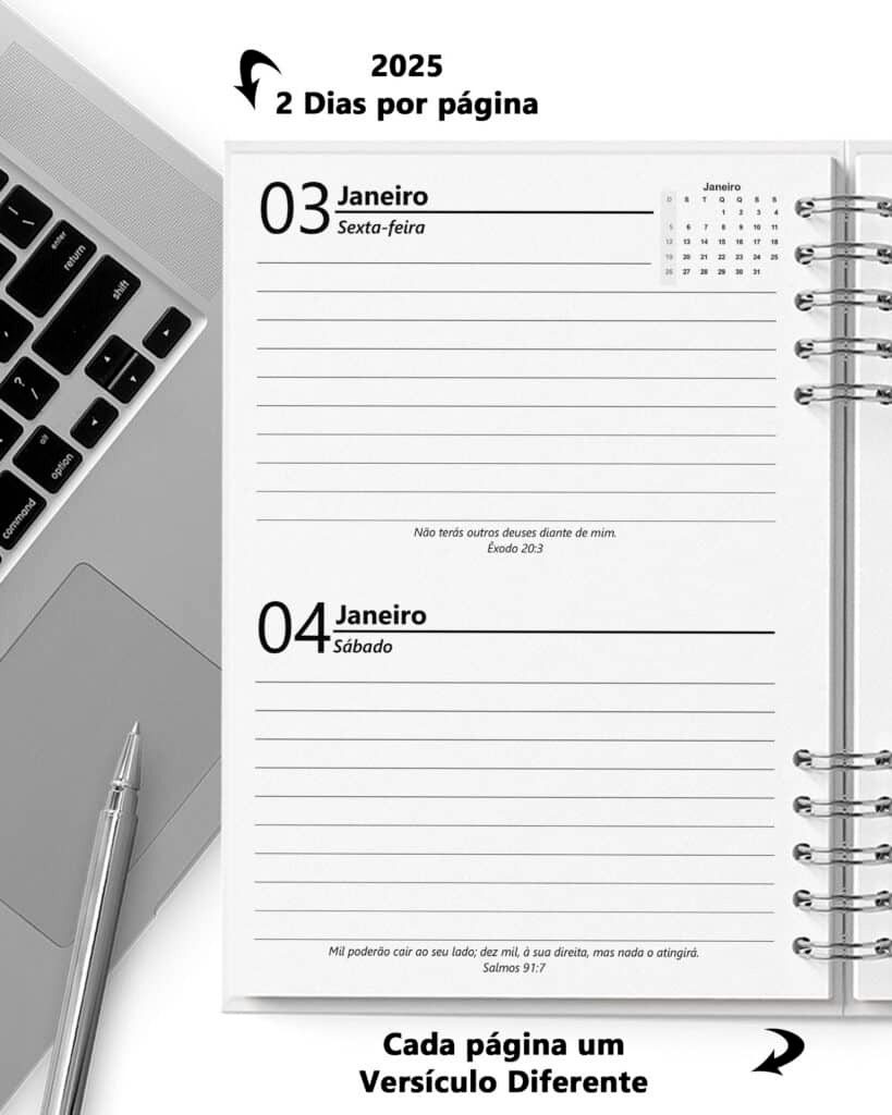 Super Combo 10 Agendas 2026 e Permanente Masculina com 5 Modelos de Capa (Bicho Papel) - Imagem 2