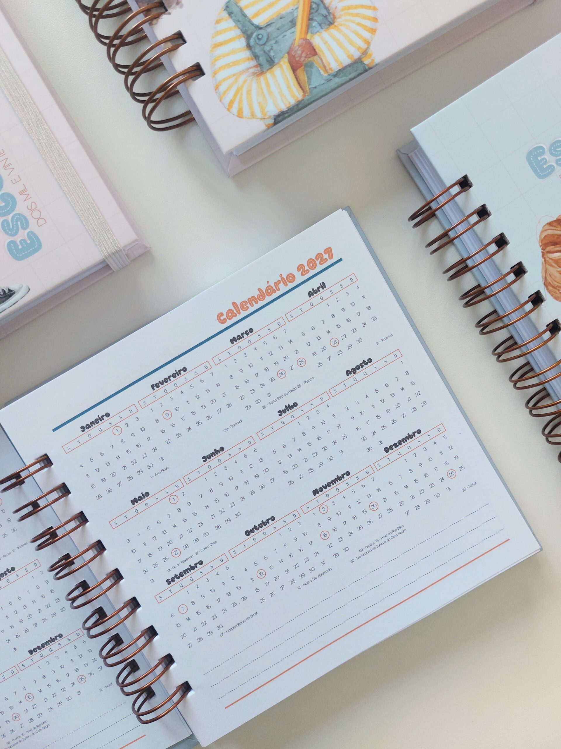 Agenda Escolares 2026 (Marta Iurkiu) - Imagem 8