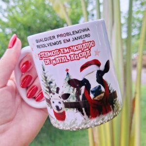 Qualquer probleminha resolvemos em Janeiro, estamos em horário de Natal agora