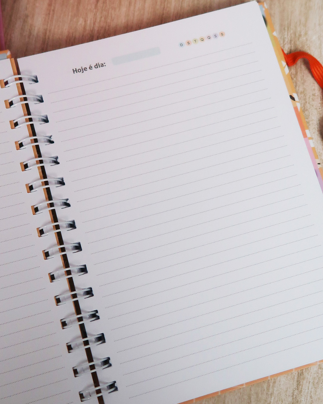 Coleção ESCOLAR 2026 – TOUCH TOUCH (Mimos Personalizados) - Imagem 26