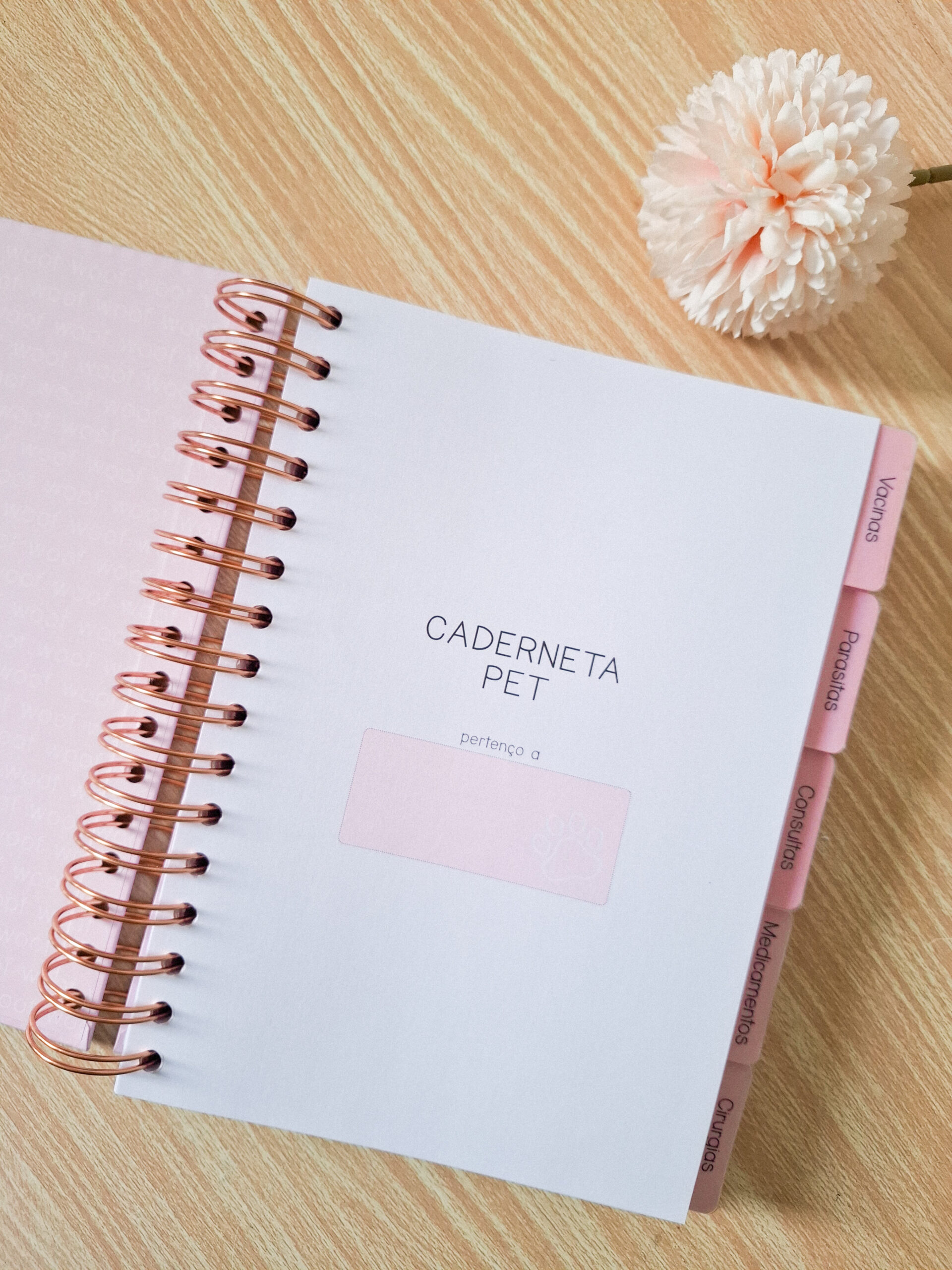 Combo Caderneta Pet - Branco Papel - Imagem 5