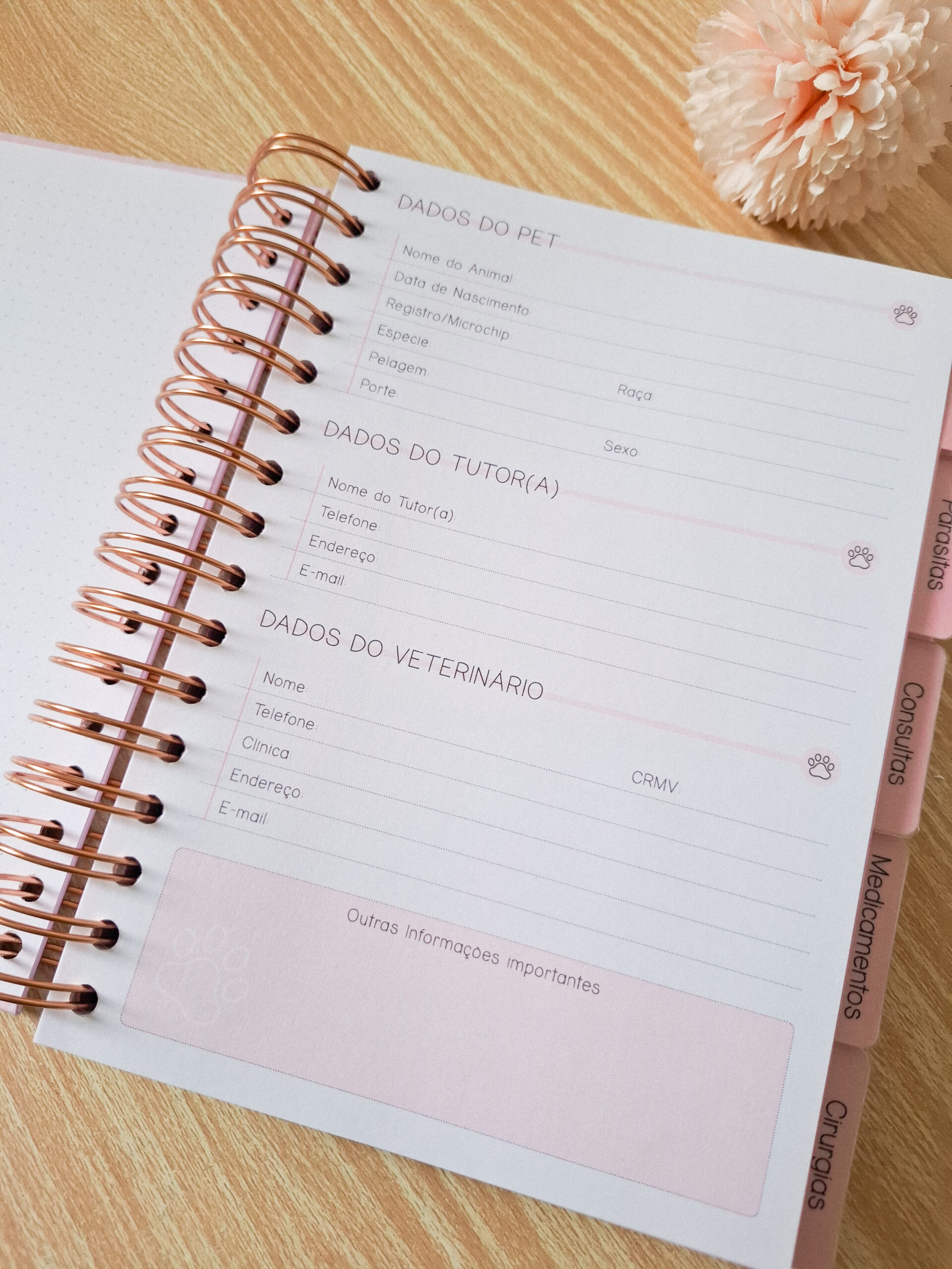 Combo Caderneta Pet - Branco Papel - Imagem 6