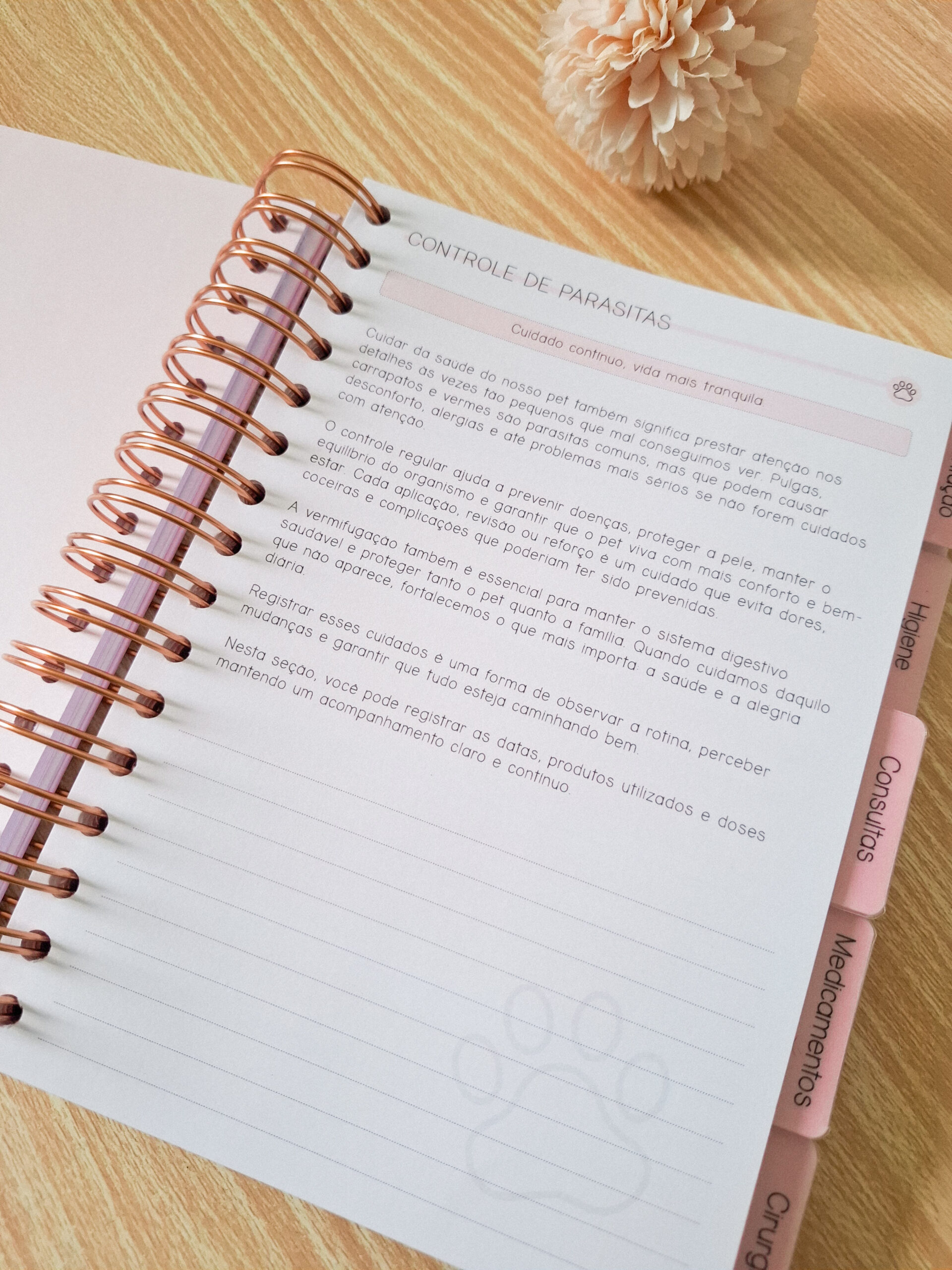 Combo Caderneta Pet - Branco Papel - Imagem 4