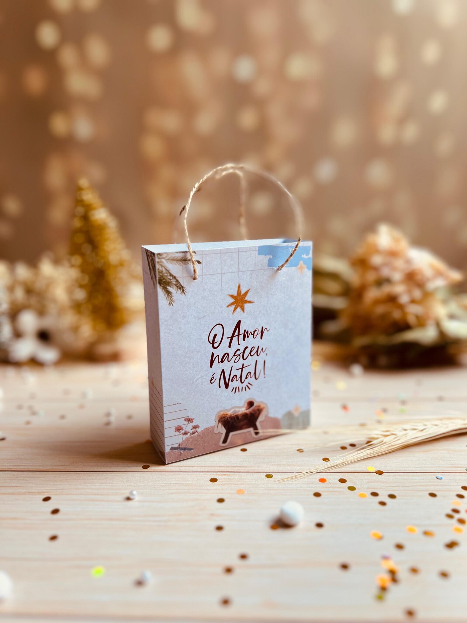 Natal Cristão 2025 | Jesus nossa Luz (Ana Flor) - Imagem 15