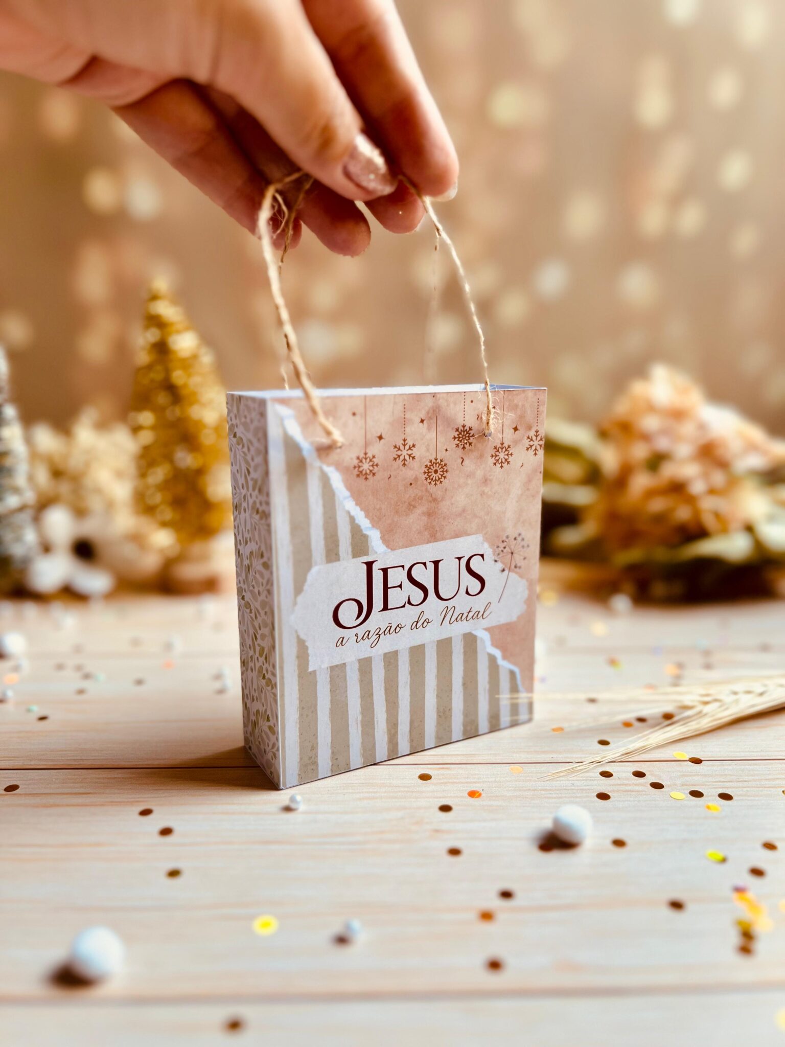 Natal Cristão 2025 | Jesus nossa Luz (Ana Flor) - Imagem 17