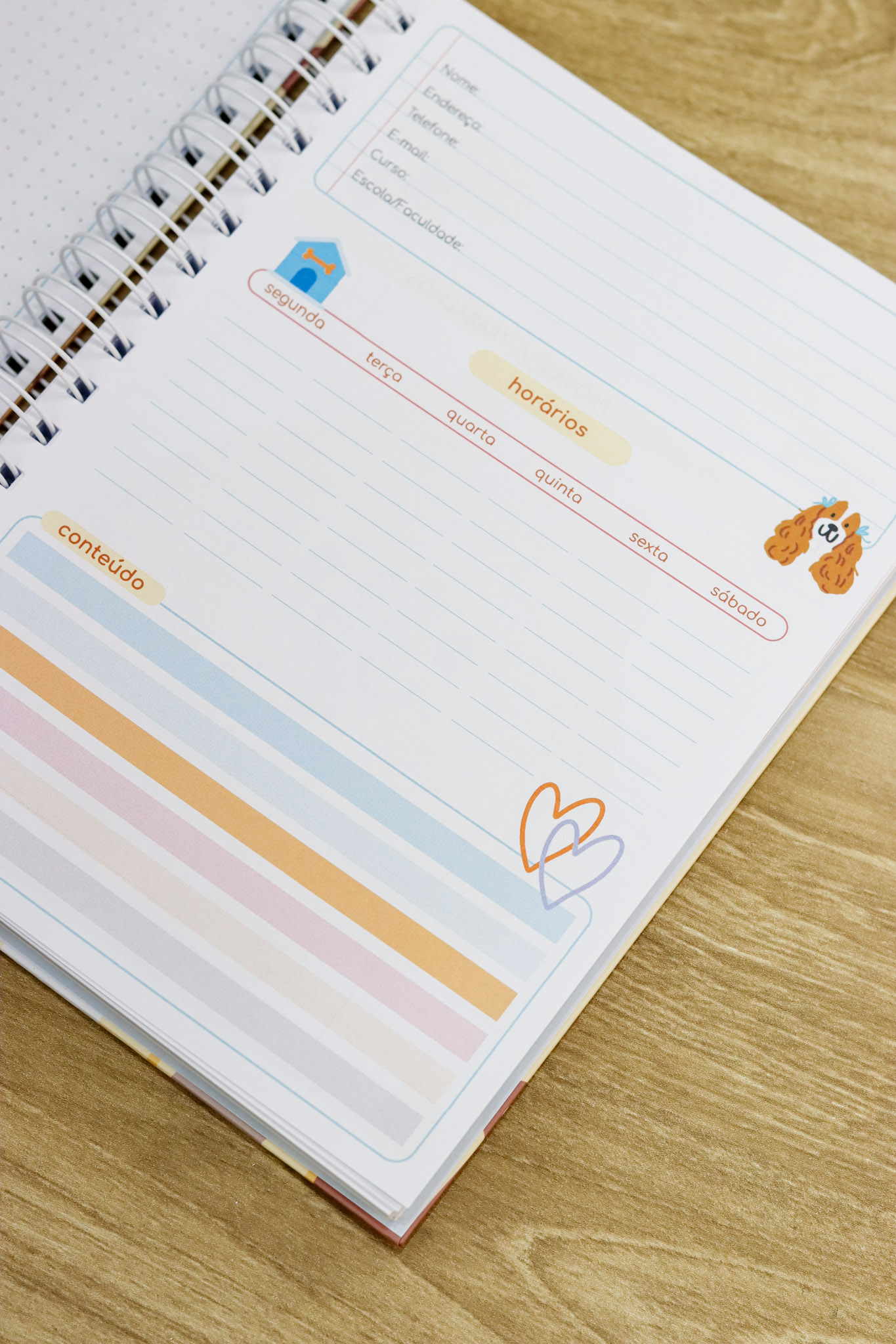 Volta às Aulas 2026 (Estúdio G19) - Imagem 21