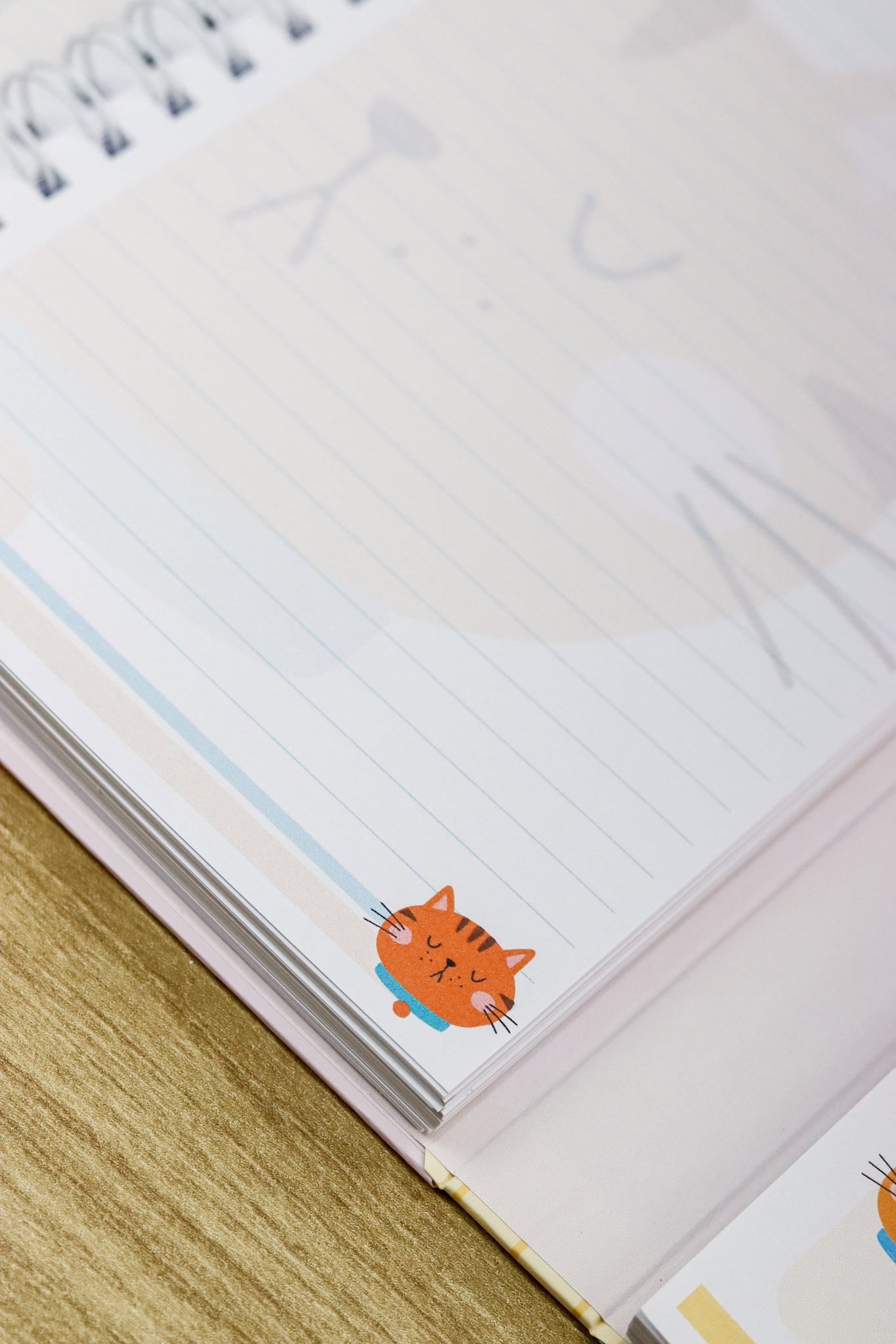 Volta às Aulas 2026 (Estúdio G19) - Imagem 18