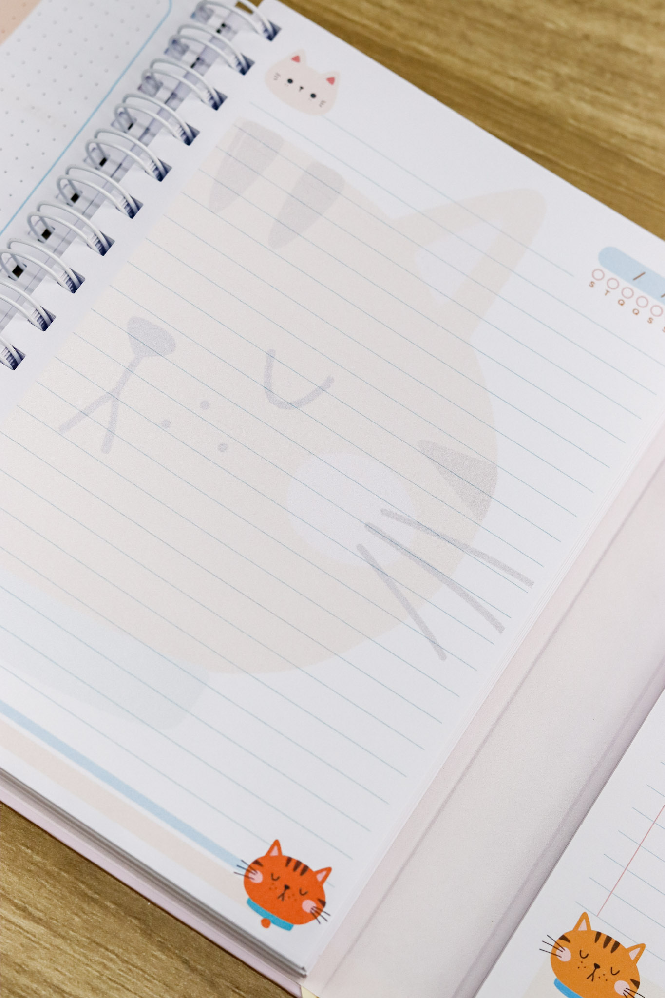 Volta às Aulas 2026 (Estúdio G19) - Imagem 17