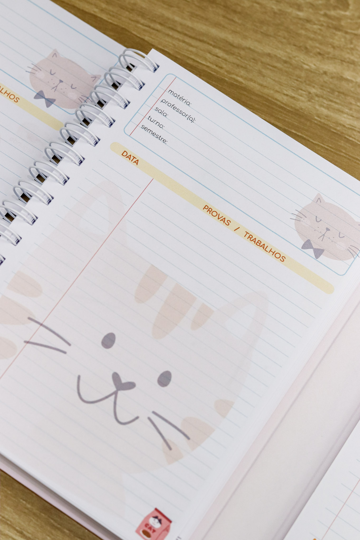 Volta às Aulas 2026 (Estúdio G19) - Imagem 16