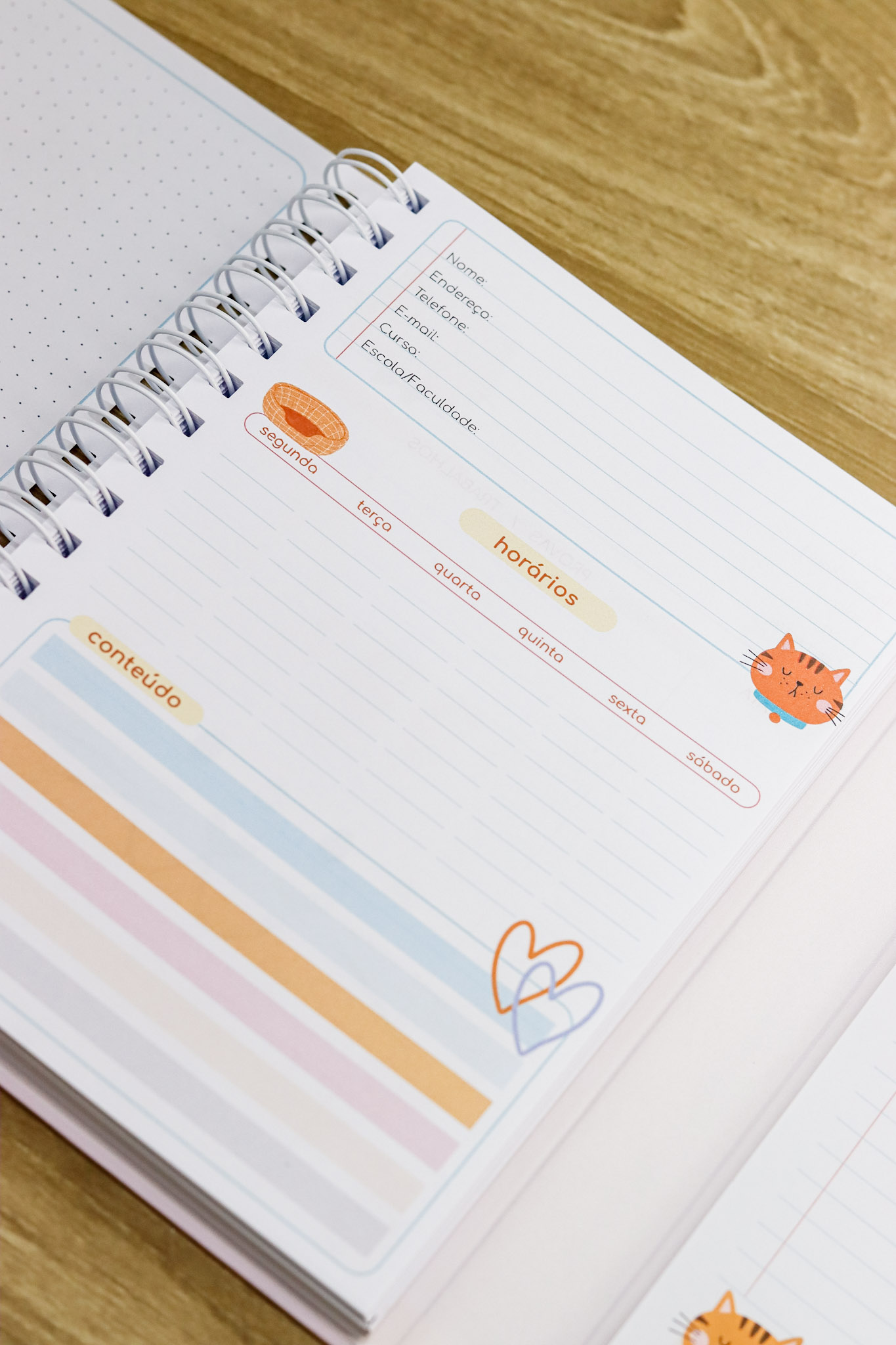 Volta às Aulas 2026 (Estúdio G19) - Imagem 15