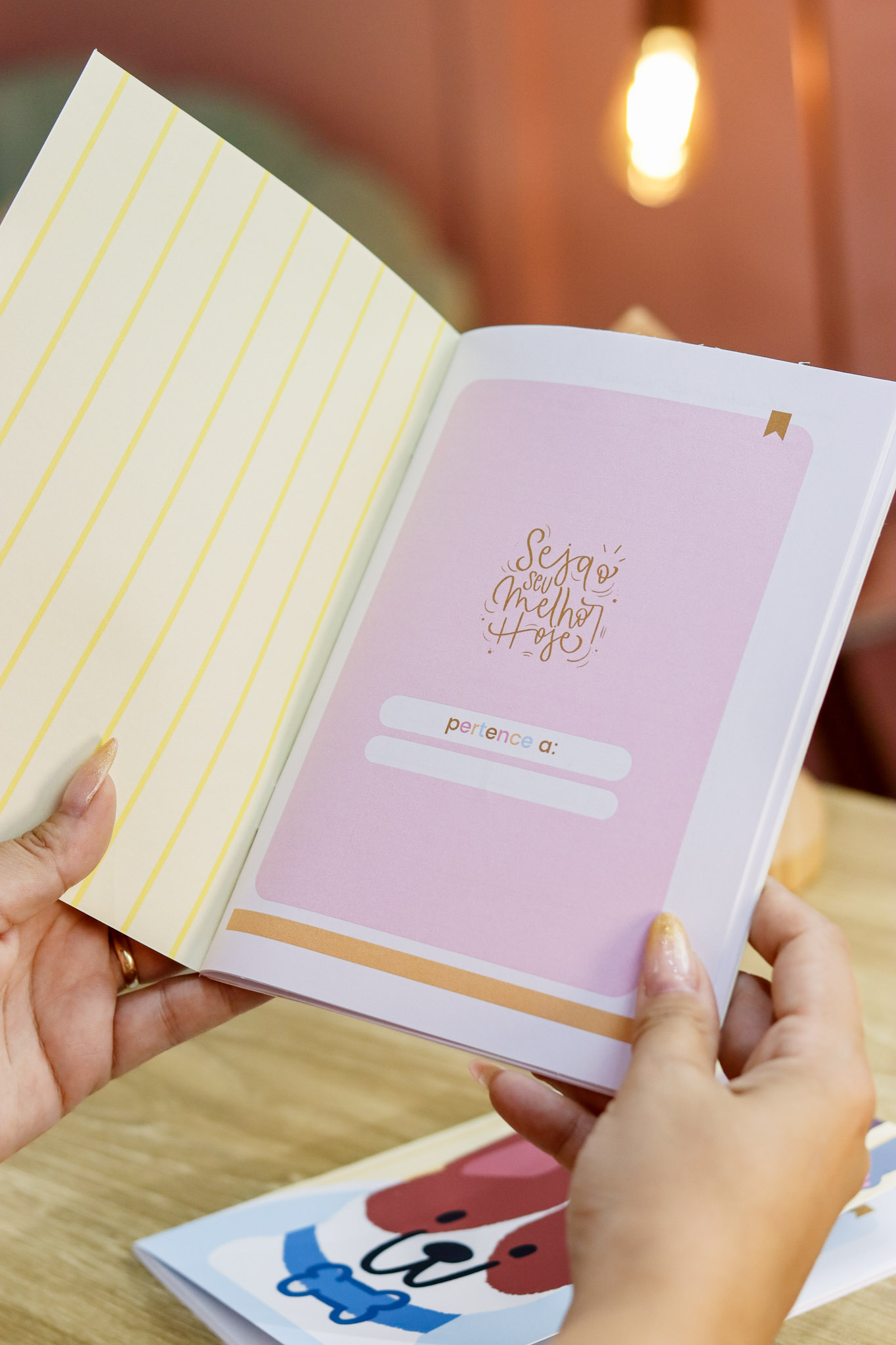 Volta às Aulas 2026 (Estúdio G19) - Imagem 11